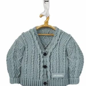 Taylor Swift TTPD Cardigan Ornament  - NEW